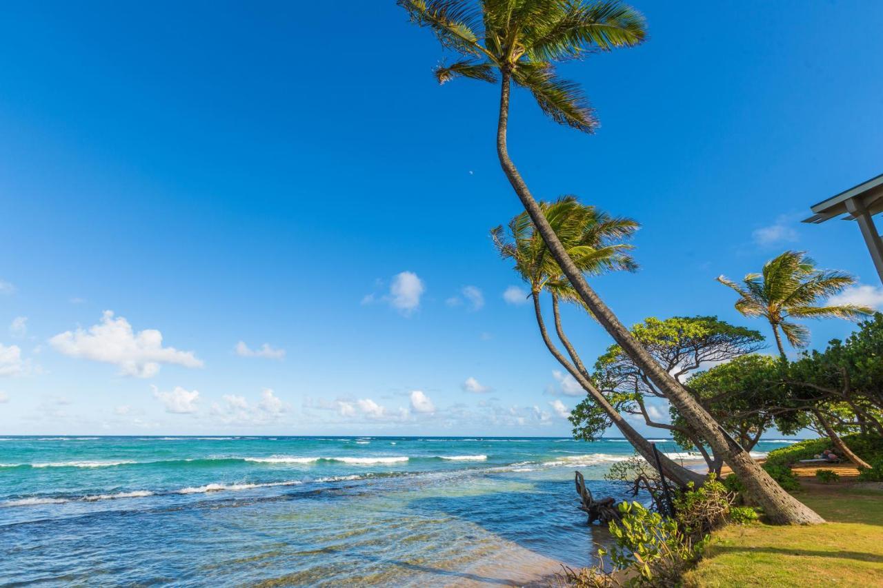 2Br Kauai Kailani Condo, Pool, Walk To Ocean & Shops, Ac Kk117 كابا المظهر الخارجي الصورة